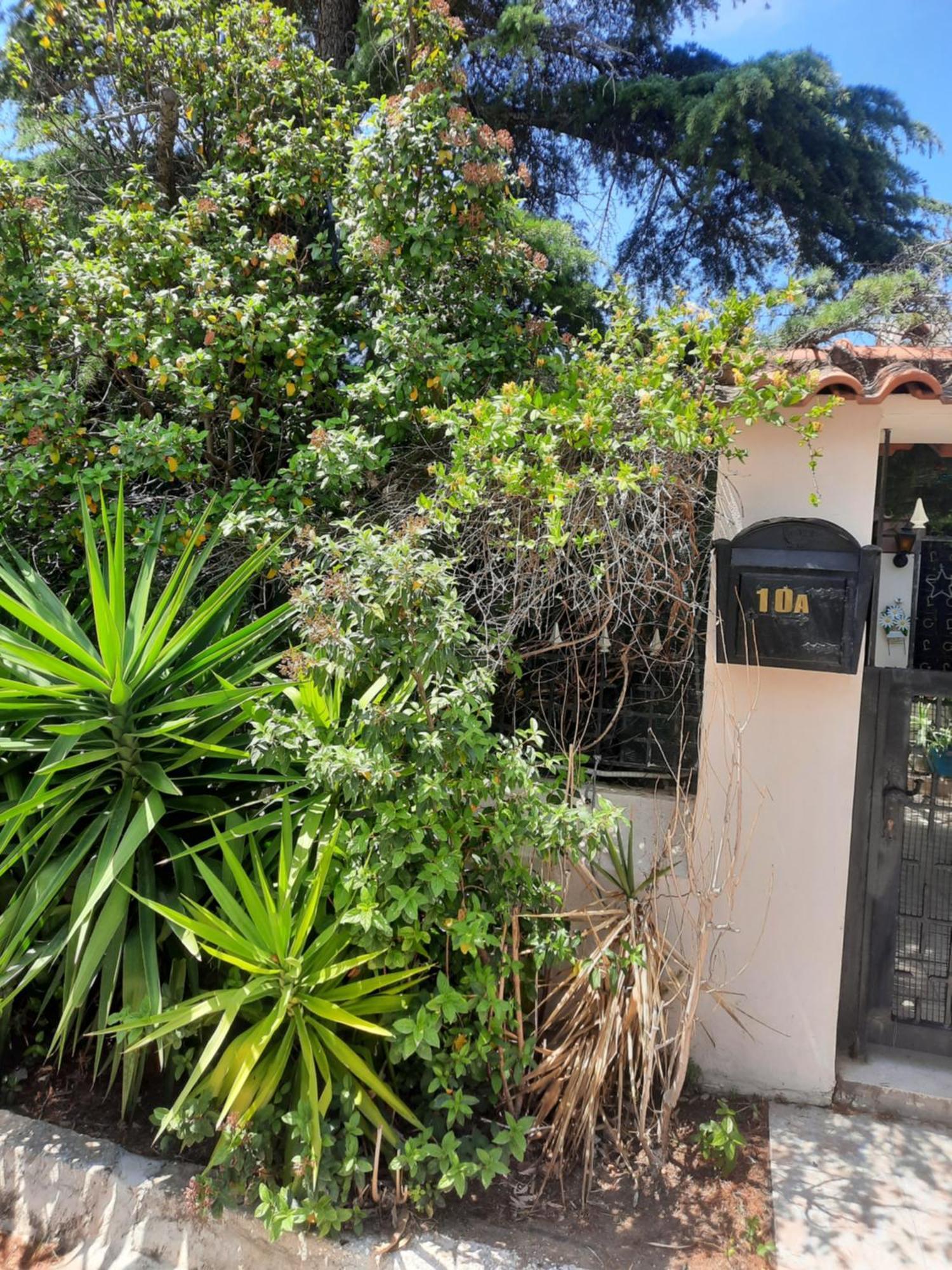 Cosy Villa Pikermion Bagian luar foto